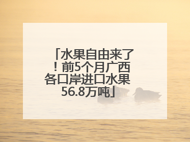 水果自由来了！前5个月广西各口岸进口水果56.8万吨